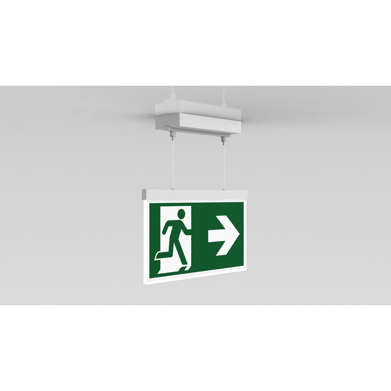 RP-Technik - Sicherheitsleuchte LED-Rettungszeichenleuchte AGDC403SC EB 3h, SC