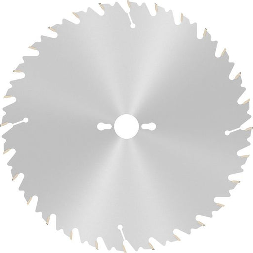 Bosch - Kreissägeblatt PRO Wood Kreissägeblatt, 2608640681 300 x 3,2 x 30 mm