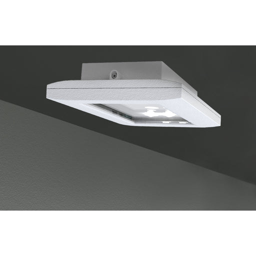 RP-Technik - Sicherheitsleuchte FMDS428SC EB 8h