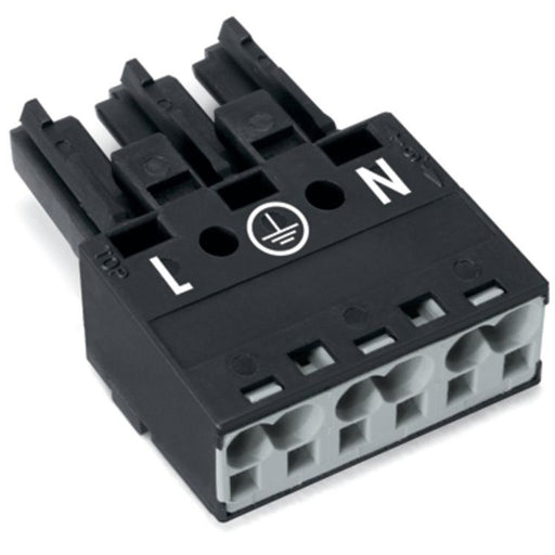 WAGO - Steckverbinder für steckbare Gebäudeinstallation Buchse 770-203 2x0,5-4mmq schwarz − 100 Stück