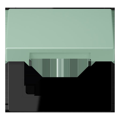 Jung - Abdeckrahmen Klappdeckel m. Stellfeder LC 990 BFKL 217 vert anglais clair