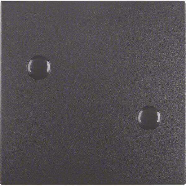 Berker - Abdeckung/Bedienelement für Installationsschalterprogramme Wippe anschraubbar 15701606 B.1/B.3/B.7 Glas