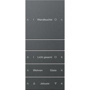 Gira - Bussystem-Tastwippe Wippenset 4-fach 220428 beschr. Sys 55 Anthr