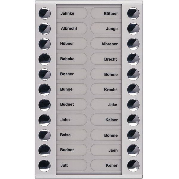 TCS Tür Control - Montageelement für Türstation Audioaußenstation 2-reihig PET22-EN/04 Erw.22 Tasten silber