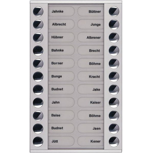 TCS Tür Control - Montageelement für Türstation Audioaußenstation 2-reihig PET22-EN/04 Erw.22 Tasten silber