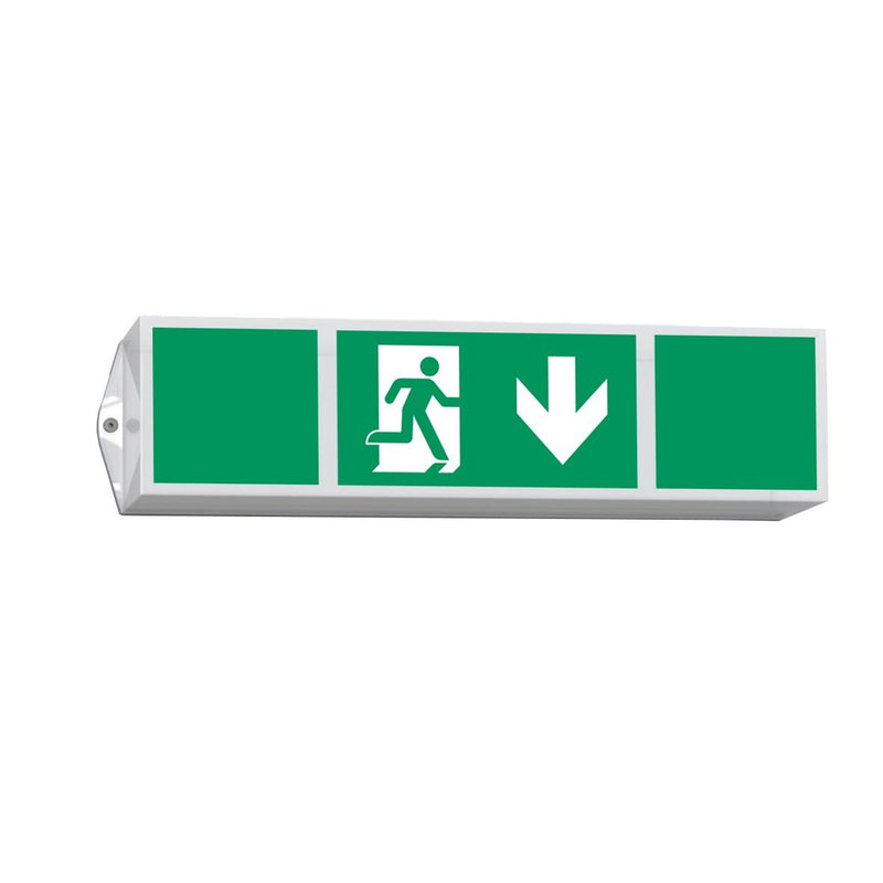 RP-Technik - Sicherheitsleuchte LED-Rettungszeichenleuchte KWIW413SC EB 3h, SC