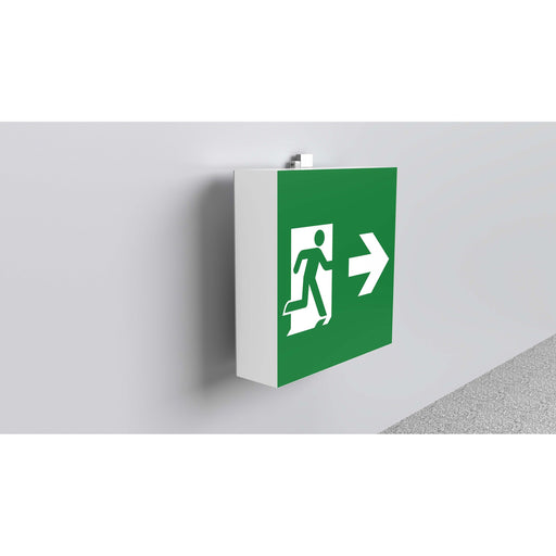 RP-Technik - Sicherheitsleuchte LED-Rettungszeichenleuchte WFXW411SC EB 1h, SC