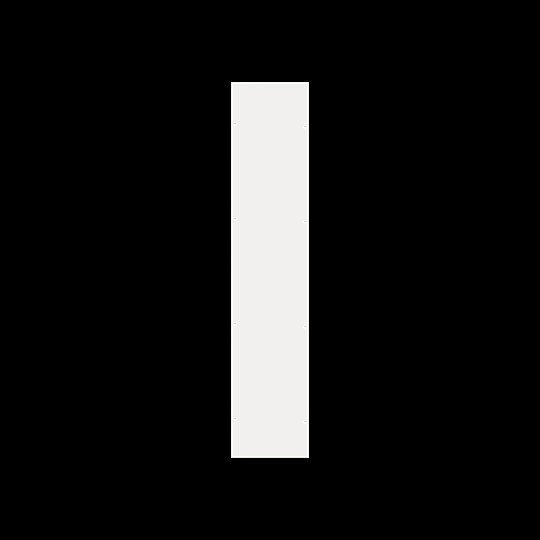 Striebel&amp;John - Seiten-/Rückwand (Schaltschrank) Seitenwand RSW84P2 (VE2) H8/T4 − 1 Packung
