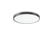 RZB - Decken-/Wandleuchte LED-Wand-/Deckenleuchte 312384.0031.2.76 DALI, anthr