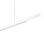 Zumtobel Group - Pendelleuchte LED-Pendelleuchte LINETIK #42950953 830, ws