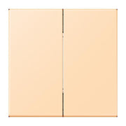 Jung - Sender/Fernbedienung für Installationsschalterprogramme Bluetooth Funk-Wandsender BLE LC 995 223 ocre (32060)