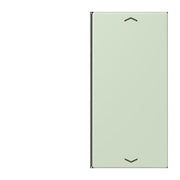 Jung - Abdeckung/Bedienelement für Installationsschalterprogramme Taste 2fach m. Pfeilsymb. LC 402 TSAP 218 vert anglais pale