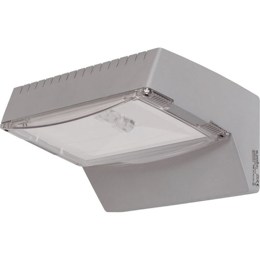 Ceag Notlichtsysteme - Sicherheitsleuchte OUTDOOR Wall CG-S m.asymetr.Optik,IP65