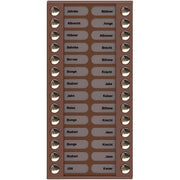 TCS Tür Control - Montageelement für Türstation Audioaußenstation 2-reihig PET28-EB/04 Erw.28 Tasten bronze