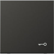 Jung - Abdeckung/Bedienelement für Installationsschalterprogramme Wippe Symbol TÜR anth AL 2990 T AN für Taster