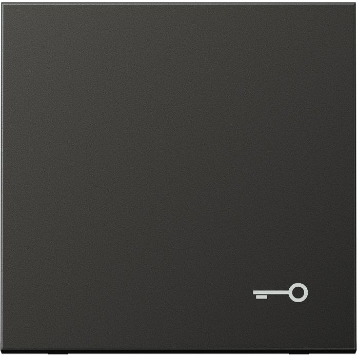 Jung - Abdeckung/Bedienelement für Installationsschalterprogramme Wippe Symbol TÜR anth AL 2990 T AN für Taster