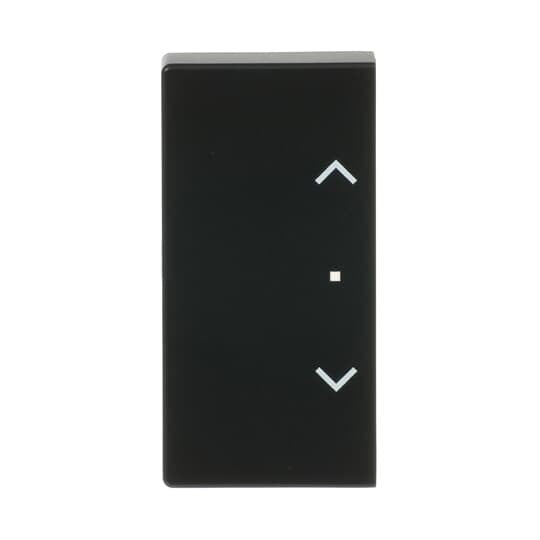 Busch-Jaeger - Bussystem-Tastwippe Wippe sw mt 6232-20-885 future linear