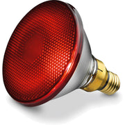 Beurer - Zubehör/Ersatzteile für Kleingeräte Zubehör f.Infrarotlampe IL 21/35SIL16/29 Ers Ersatzstrahler − 12 Stück