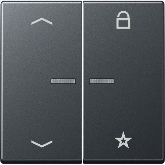 Jung - Bedienelement intelligent eNet Funk-Steuertaste FM A 1701 BFP ANM 2fach, Symbol Pfeil