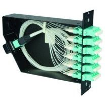 Telegärtner - Patchpanel LWL FanOut-Modul 6xLC-Quad 100022410 grün OS2