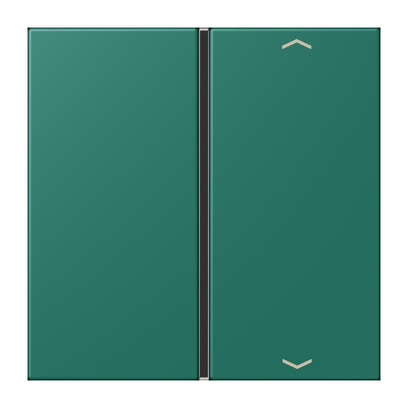 Jung - Abdeckung/Bedienelement für Installationsschalterprogramme Taste 1fach m. Pfeilsymb. LC 401 TSAP 216 vert anglais