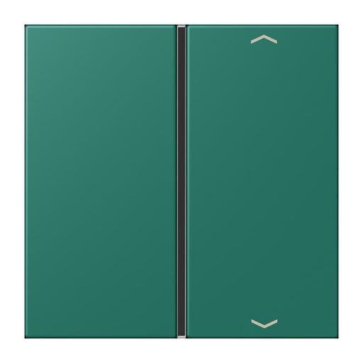 Jung - Abdeckung/Bedienelement für Installationsschalterprogramme Taste 1fach m. Pfeilsymb. LC 401 TSAP 216 vert anglais