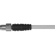 Murrelektronik - Konfektioniertes Sensor-Aktor-Kabel Rundsteckverbinder M8 7000-08041-2500500 Buchse
