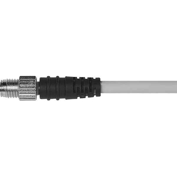 Murrelektronik - Konfektioniertes Sensor-Aktor-Kabel Rundsteckverbinder M8 7000-08041-2500500 Buchse