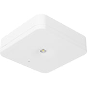 Fischer - Sicherheitsleuchte SLM-D31USC EB 1/3/8h,1W,IP20