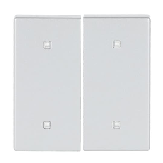 Busch-Jaeger - Abdeckung/Bedienelement für Installationsschalterprogramme Wippe 2-fach 2570-20-83 Elektroniktaster
