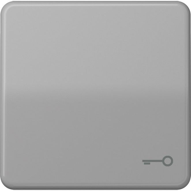 Jung - Abdeckung/Bedienelement für Installationsschalterprogramme Wippe Symbol TÜR gr CD 590 T GR für Taster