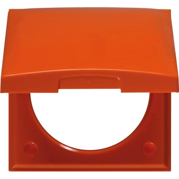 Berker - Abdeckrahmen Rahmen 1f m Klappdeckel 918282574 ITG Flow orange