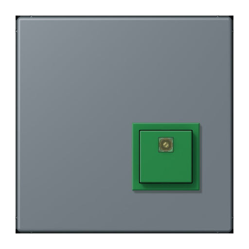 Jung - Behindertenelement für Installationsschalterprogramme Notrufsystem Abstelltaster NRS LC 0834 AT 251 gris 59