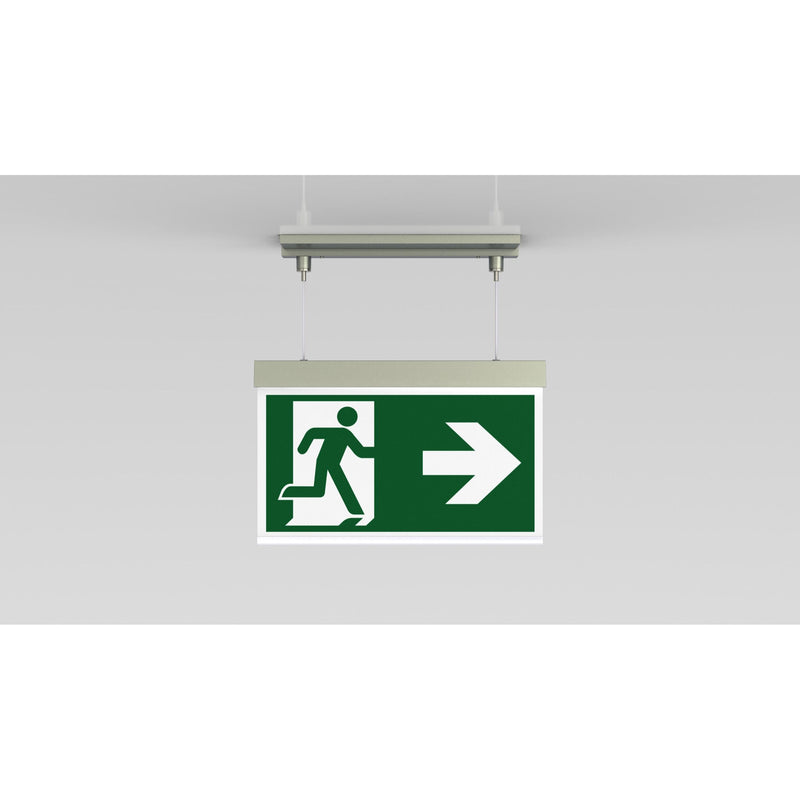 RP-Technik - Sicherheitsleuchte LED-Rettungszeichenleuchte AXCC401SC-E EB 1h, SC, eds-opt