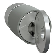 Schneider Electric - Komponente für Tür (Schaltschrank) Zylinderschloss 2Schlüssel LVS07941 Nr.455 − 1 Stück