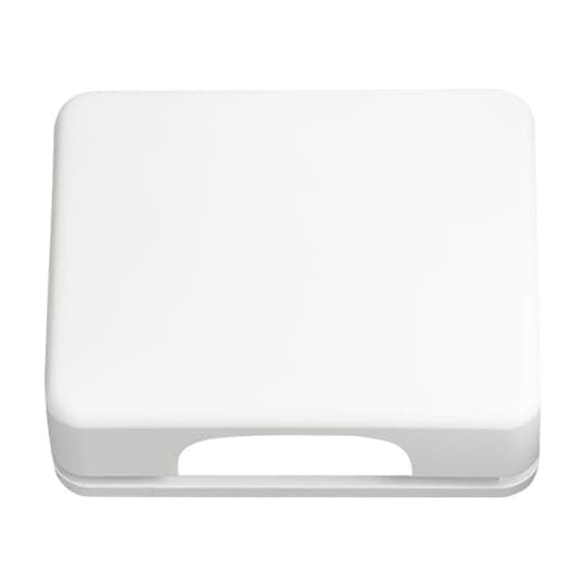 Busch-Jaeger - Einsatz/Abdeckung für Kommunikationstechnik Zentralscheibe sws gl 1746-24G-101 UAE,50x50,Klappdeck