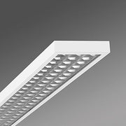 Regiolux - Decken-/Wandleuchte LED-Anbauleuchte aduna-A #62125016660 950 DALI