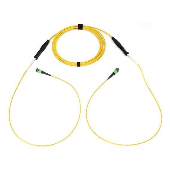 Corning - Patchkabel LWL Stammkabel 96FasernOS2 50m G909096GLZ88U050M