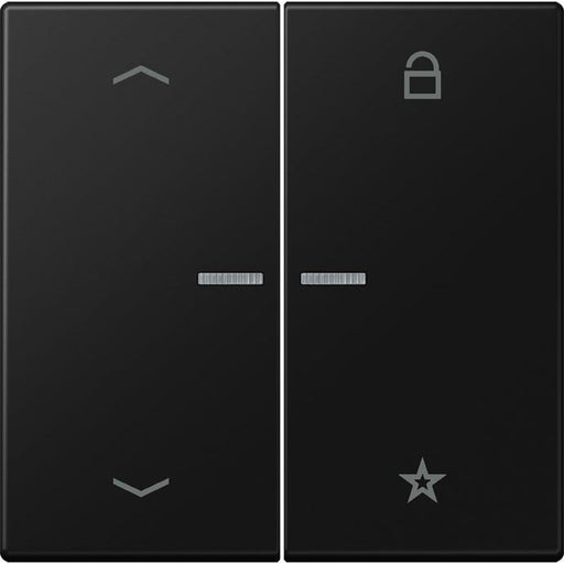 Jung - Bedienelement intelligent eNet Funk-Steuertaste FM LS 1701 P SWM graphitschwarz matt − 1 Stück