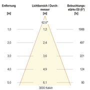EVN Lichttechnik - Downlight/Strahler/Flutlicht LED-Anbauleuchte ALG54250125