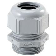 Lapp Zubehör - Kabelverschraubung SKINTOP-ST-PG-29-RAL- 53110160 7001-SGY-5ST − 5 Stück