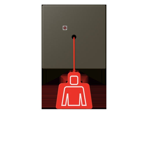 Jung - Behindertenelement für Installationsschalterprogramme Notrufsystem Zugtaster NRS LC 0834 ZT 241 ombre naturelle 31