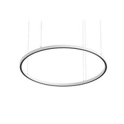 Brumberg Leuchten - Pendelleuchte LED-Pendel-Ringleuchte 84012173MT 3000K, Matter
