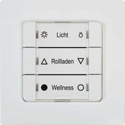 DELTA DORE - Funksender DuoFern Mehrfachwandtaster 9494-1 Batterieb.,ultra ws