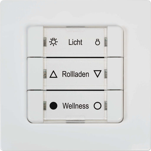 DELTA DORE - Funksender DuoFern Mehrfachwandtaster 9494-1 Batterieb.,ultra ws