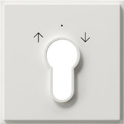 Gira - Abdeckung/Bedienelement für Installationsschalterprogramme Zentralpl. Schlüssel. rws 066466 TX44