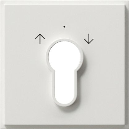 Gira - Abdeckung/Bedienelement für Installationsschalterprogramme Zentralpl. Schlüssel. rws 066466 TX44