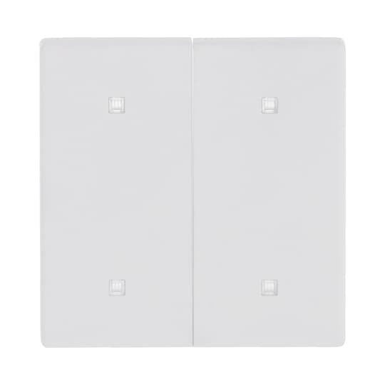 Busch-Jaeger - Abdeckung/Bedienelement für Installationsschalterprogramme Wippe 2-fach 2570-20-884 Elektroniktaster  − 1 Stück