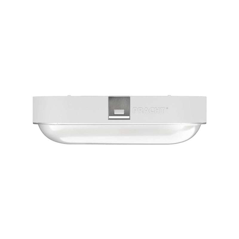 Pracht - Decken-/Wandleuchte LED-Ovalleuchte NINA ECO #5200010 840