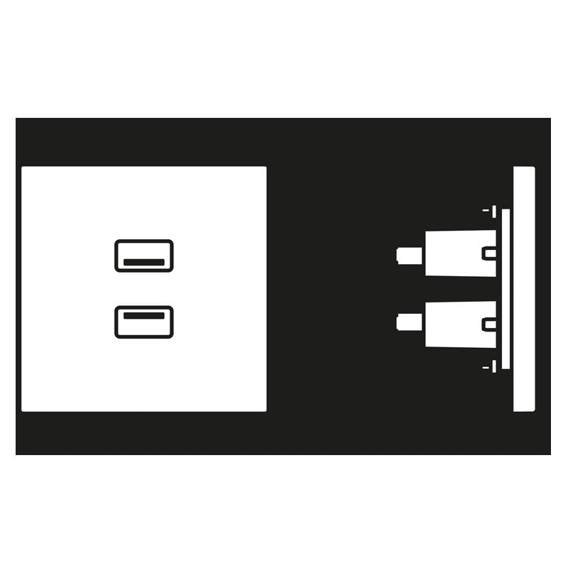 Jung - Multifunktions-Anschlussdose Multimedia-Anschluss sw MA LS 1153 SW 2 x USB m.Tragring